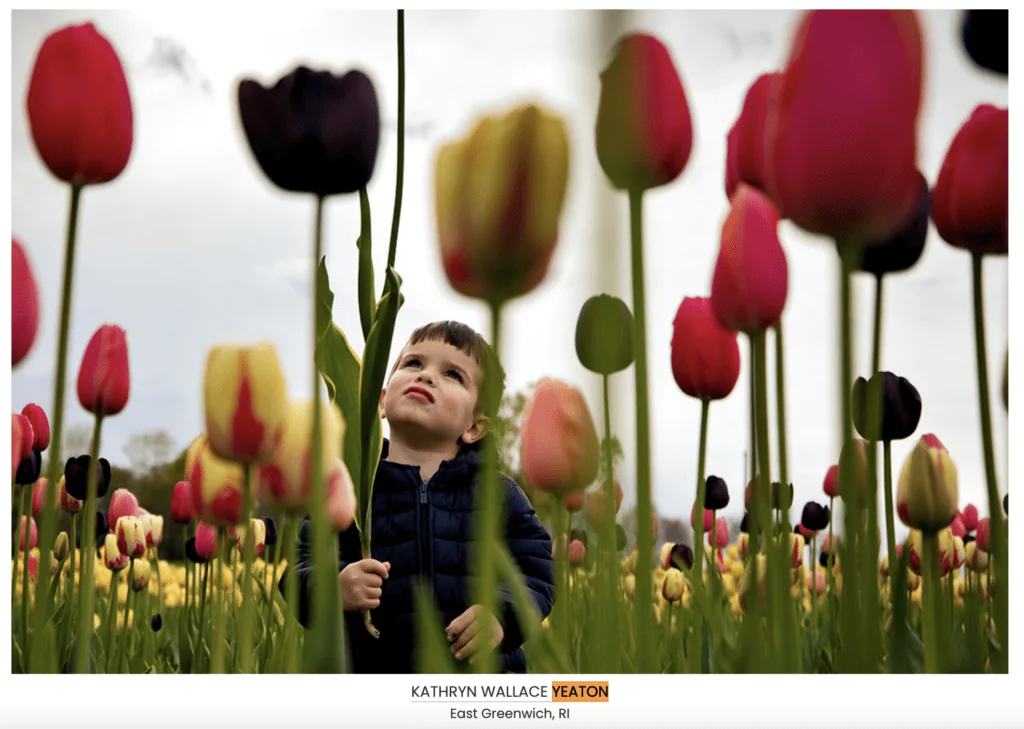 A little boy in a field of tulips