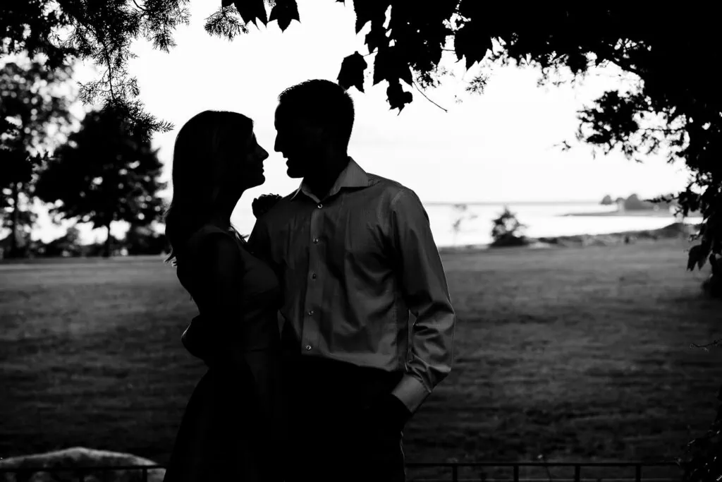 a silhouette of a man and a woman under a tree