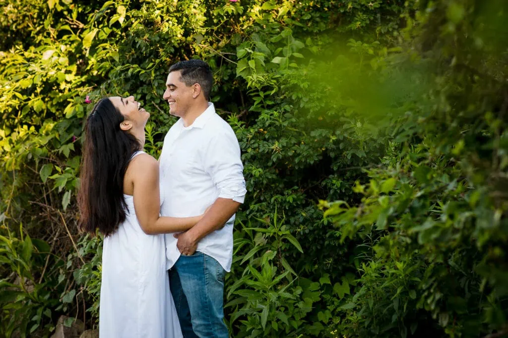 A woman in a white dress throws her head back in laughter as she embraces a man in white shirt amongst the beach roses at their watch hill rhode island engagement photo session