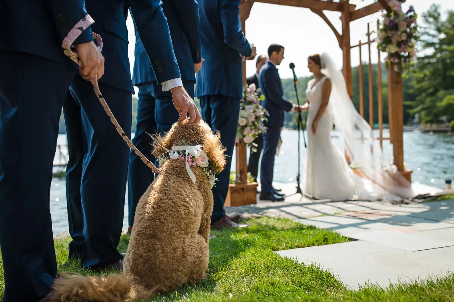 A hand holding a dogs leash with another hand scratching the dogs head as they watch a couple getting married in the background