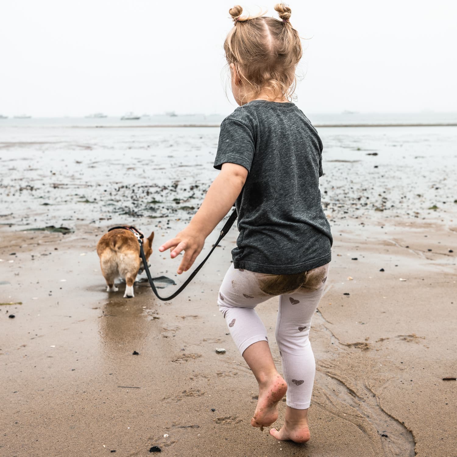A little girl with a dirty butt walks a dog on the beach during a Provincetown family photographer session