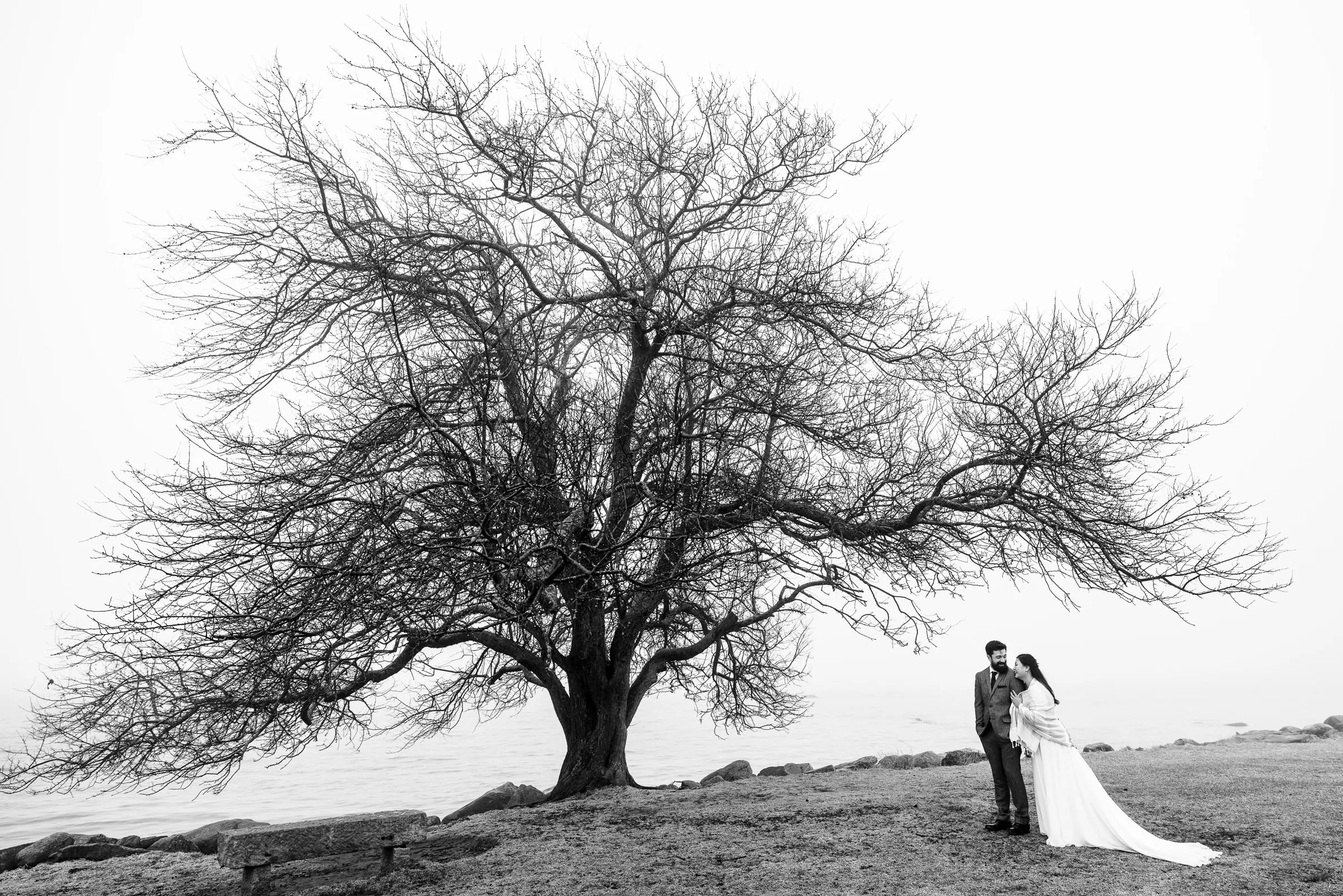 A man in a suit and woman in a white dress cuddle underneath a large leafless tree in the fog at their Harkness Park wedding
