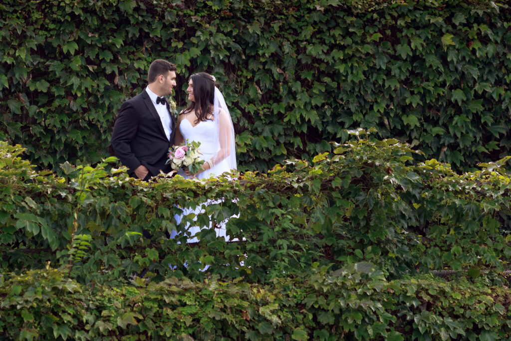 A bride and groom in a sea of ivy