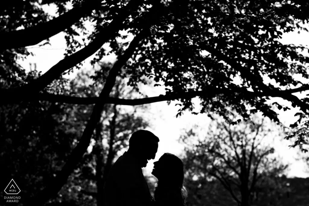 A black and white silhouette photo of a couple facing each other laughing under a tree that won a WPJA diamond award
